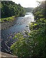 River South Tyne near Hexham (2)