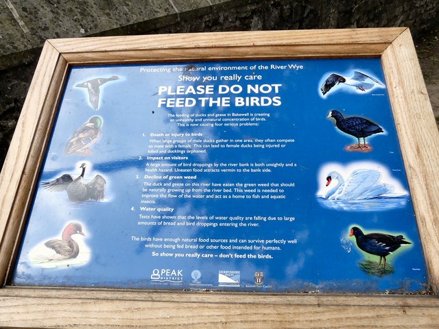 Please do not feed the birds