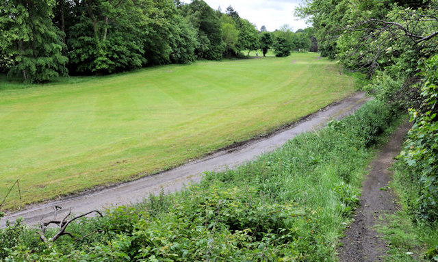 Paths, Aberdelghy Wood, Lambeg (2)