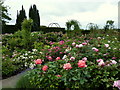 Mount Ephraim Gardens, Staplestreet, near Hernhill