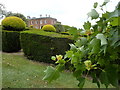 View of Mount Ephraim House, Staplestreet, near Hernhill