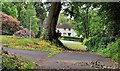 J2867 : Path, Aberdelghy Wood, Derriaghy by Albert Bridge