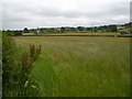 Grassland, Holnest