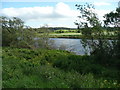 River Isla below Coupar Angus