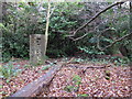 Brick tower near the Kyd Brook - Main Branch, in Sparrow Wood