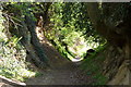 Footpath between Nash Priory and Burton