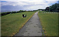 Cliff Walk at Penarth