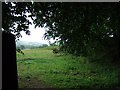 The flat top of a field above the Lord Haldon Hotel