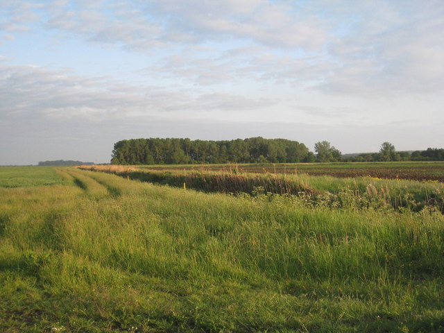 Appleby Carrs and Thornholme Plantation
