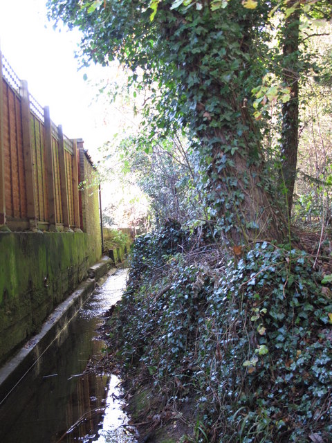 The Kyd Brook - East Branch, west of St. Thomas' Drive, BR5 (2)