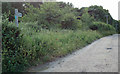 Bridleway from Lewis Lane