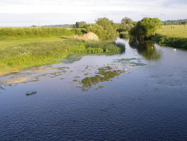River Stour near White Mill