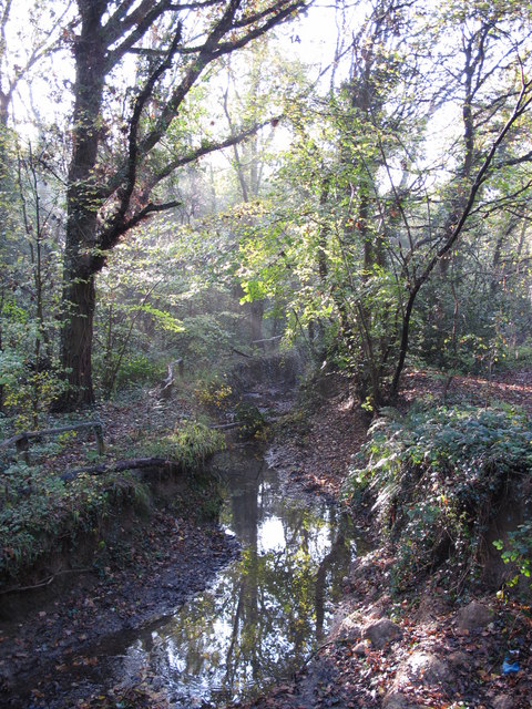 The Kyd Brook - East Branch, on Gumping Common (3)