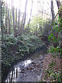 The Kyd Brook - East Branch, on Gumping Common (7)