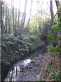 TQ4466 : The Kyd Brook - East Branch, on Gumping Common (7) by Mike Quinn