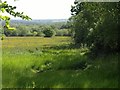 Meadow near Ditchett