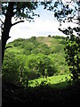 View from footpath near Cross Inn