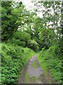 Footpath to Caerau Fort and St. Mary