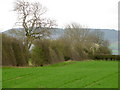 Arable field near Potto