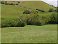 Meadow above Cwm Dulas