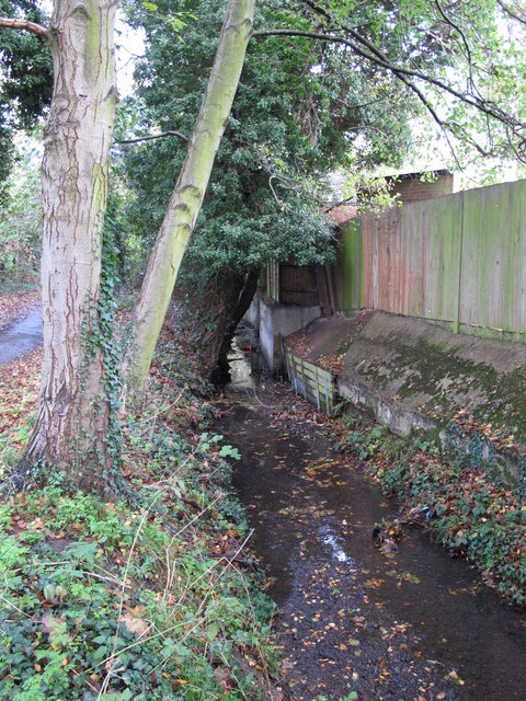 The Kyd Brook - East Branch, west of Clareville Road, BR6 (4)