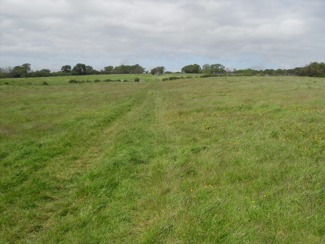 Footpath North of Ribchester
