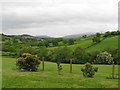 View over the Nant Heulog