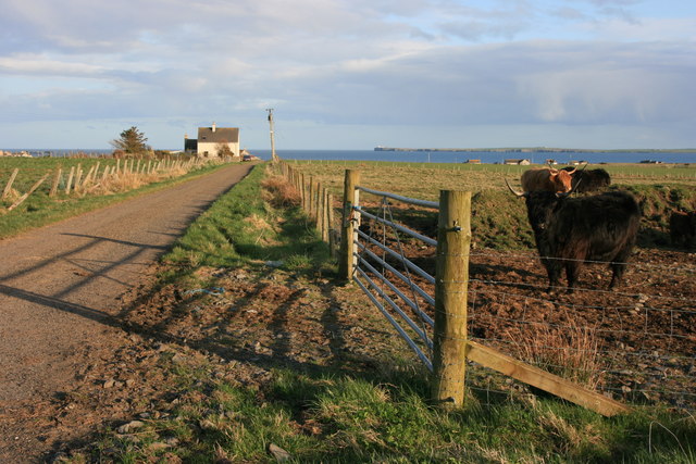 Farmland scene west of Keiss
