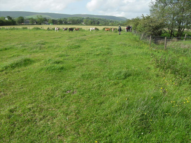 Footpath and meadows SE of Chipping