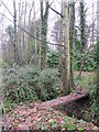 Footbridge over the Kyd Brook - Main Branch, south of the A21