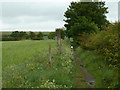 Footpath towards Eckington