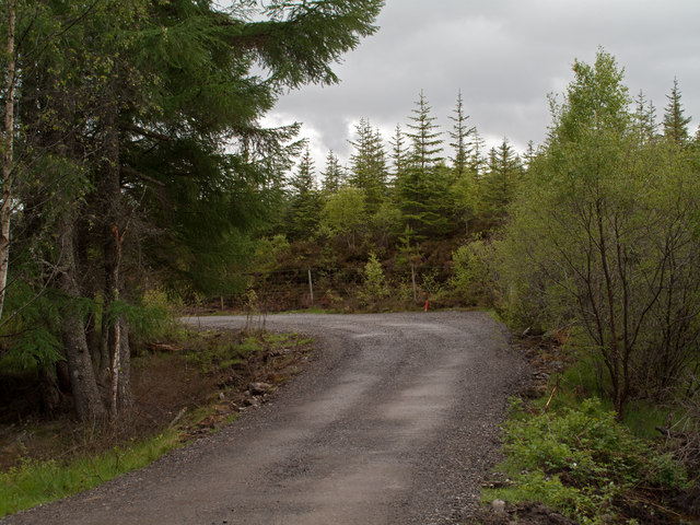 Bend of forestry road south of A831