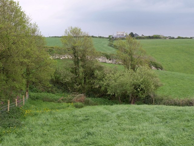 Fields near Trelights