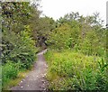 Footpath to Bredbury Industrial Estate