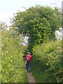 Footpath to Thirty Acres Barn