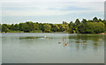 TQ5782 : Lake at Belhus by Roger Jones