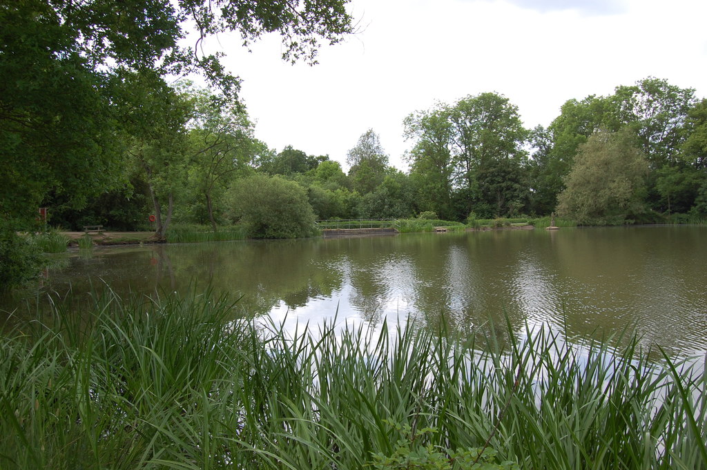 Old Hall Pond © John Matthews cc-by-sa/2.0 :: Geograph Britain and Ireland