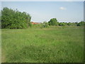 Looking across Bedfont Pits