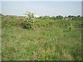 View across Bedfont Pits