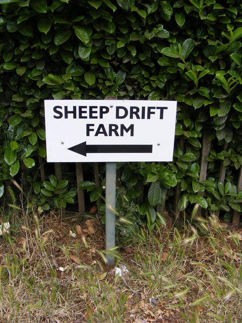 Sheep Drift Farm sign