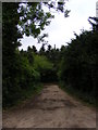 TM2544 : Bridleway to the A12 by Geographer