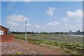 Haslar Lake at low tide (3)