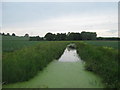 TR2363 : Field Drain towards Puddledock Wood by David Anstiss