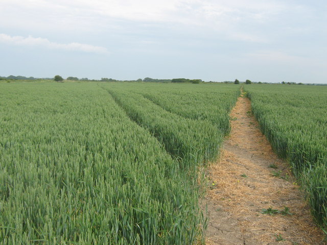 Footpath from Little Grays Farm © David Anstiss :: Geograph Britain and ...