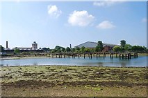 SZ6199 : Haslar Lake at low tide (9) by Barry Shimmon
