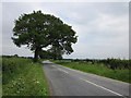 Morely Lane towards Dunham Heath