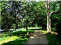 Footpath alongside Droitwich Road (A38), Perdiswell, Worcester