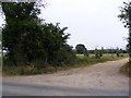 Footpath to Newbourne