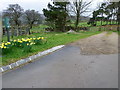 Footpath, Westerdale