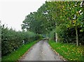 Button Bridge Lane near Coppicegate